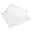 CPLPE cleanroom wipes